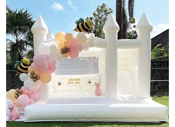 Inflatable_Castle_Slide__Pit